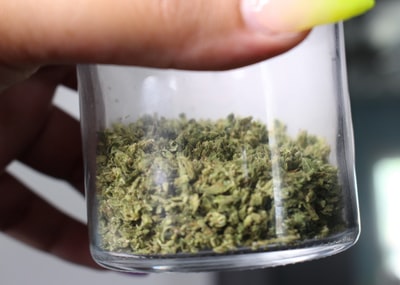 透明玻璃容器中的绿色kush